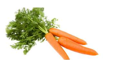 Carrot