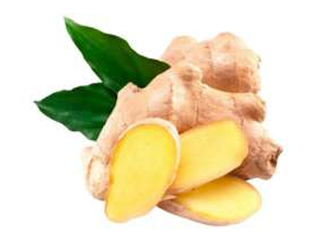 Ginger