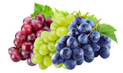 Grapes