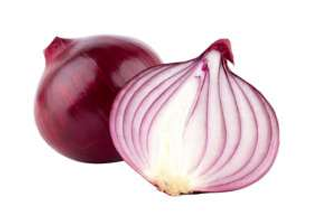 Onion