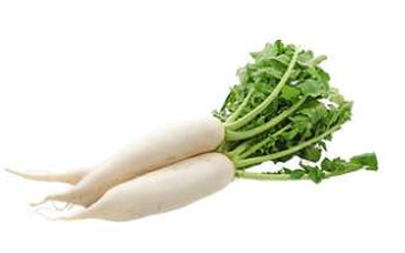 Radish