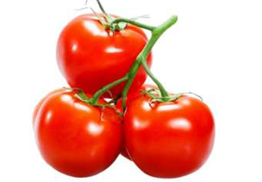 Tomato